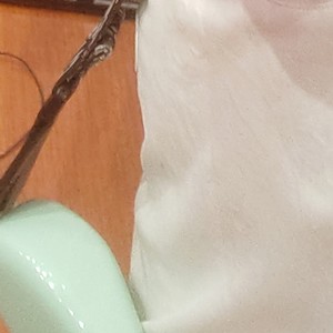 蒋祖豪资料,蒋祖豪最新歌曲,蒋祖豪MV视频,蒋祖豪音乐专辑,蒋祖豪好听的歌