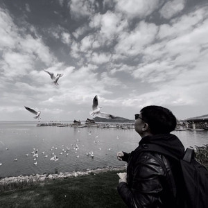 蒙根资料,蒙根最新歌曲,蒙根MV视频,蒙根音乐专辑,蒙根好听的歌