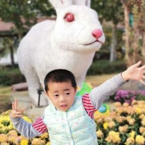 渡我不渡她
