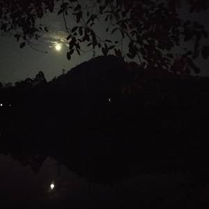 生于平凡 死于平凡