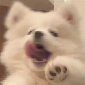 江邑浔.资料,江邑浔.最新歌曲,江邑浔.MV视频,江邑浔.音乐专辑,江邑浔.好听的歌