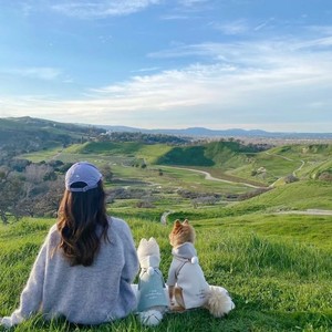 米夏资料,米夏最新歌曲,米夏MV视频,米夏音乐专辑,米夏好听的歌