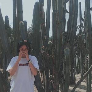 Alita资料,Alita最新歌曲,AlitaMV视频,Alita音乐专辑,Alita好听的歌