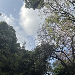 Simai资料,Simai最新歌曲,SimaiMV视频,Simai音乐专辑,Simai好听的歌