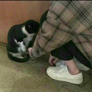 遇见