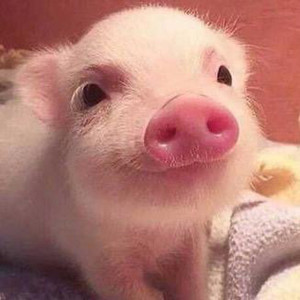 是天蓬a资料,是天蓬a最新歌曲,是天蓬aMV视频,是天蓬a音乐专辑,是天蓬a好听的歌