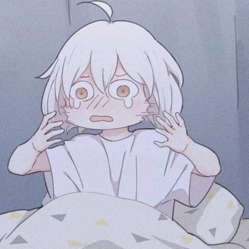 顾怀安