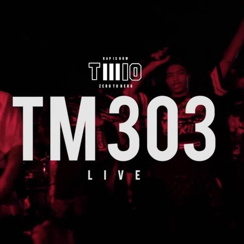 TM303
