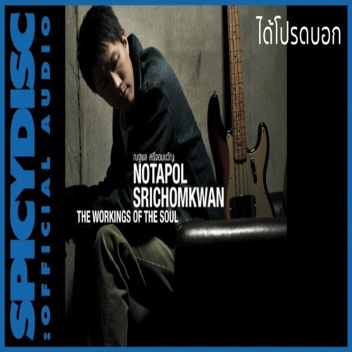 Kor Notapol Srichomkwan ดาวน์โหลดและฟังเพลงฮิตจาก Kor Notapol Srichomkwan