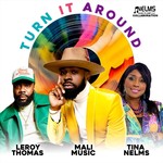 Turn It Around (feat. Mali Music)