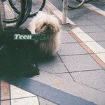 Teenage