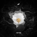 AVĪCI (01) (冬)