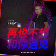 再见不想和你遇见（DJ版）