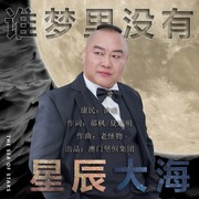 谁梦里没有星辰大海（DJ版）