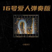 16号爱人弹奏版
