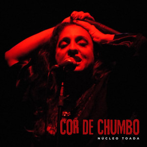 Cor de Chumbo