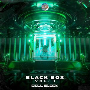 Black Box Volume 1