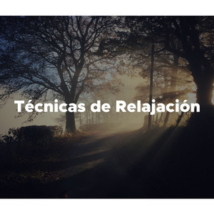 Salud y Bienestar