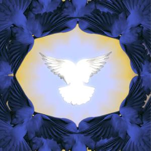 这首歌是送给你的