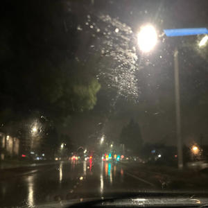 Flowers in Fall (Explicit)