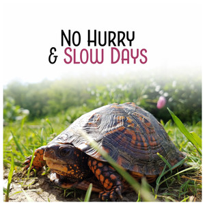 No Hurry & Slow Days