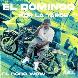 EL DOMINGO POR LA TARDE