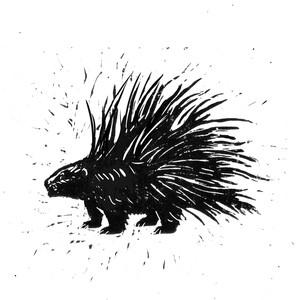 Porcupine (Explicit)