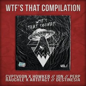 Wtf's That Compilation Vol.1 (Explicit)