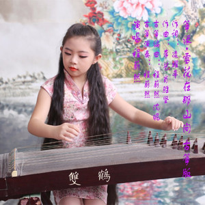 筝缘·雪花在那山间 (古筝版)