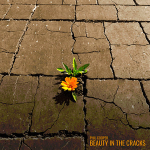 Beauty in the Cracks