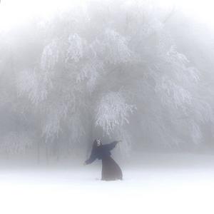 You said we're done...