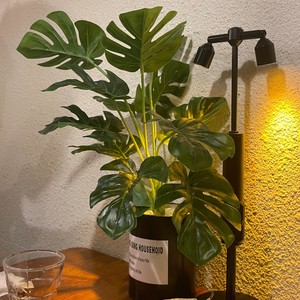 俏郎君封面