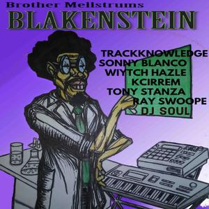 The Blakenstein Project (Explicit)