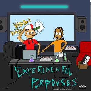 Experimental Purposes (Explicit)