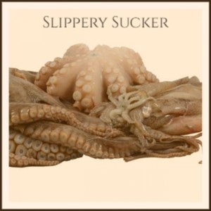 Slippery Sucker