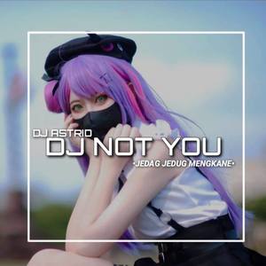 DJ NOT YOU • STYLE JEDAG JEDUG MENGKANE • DJ ASTRID PRODUCTIONS INS