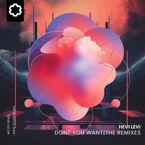 Don't You Want (Amir Telem Remix)