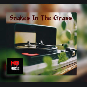 Snakes In The Grass (Explicit)