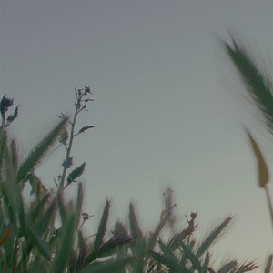 it gets better (Explicit)