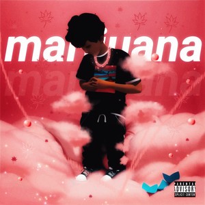 ********* (Explicit)