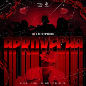 Aprovecha