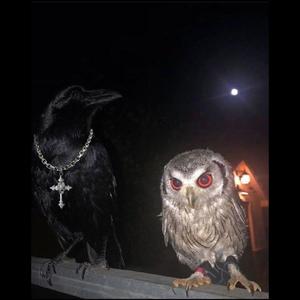 I Know Y (feat. Lade) (Explicit)