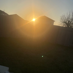 NevaBetta (Explicit)