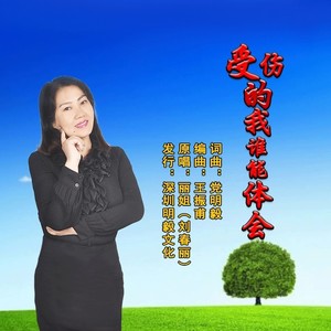 受伤的我谁能体会 (伴奏)