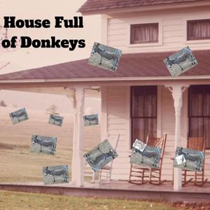 House Full of Donkeys