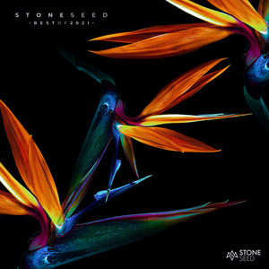 Misty Moon (Doppel Remist)