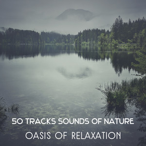 50 Tracks Sounds of Nature: Oasis of Relaxation – Reiki Healing and Buddhist Meditation, Connect with Nature, Self Hypnosis, Yoga for Core Strength