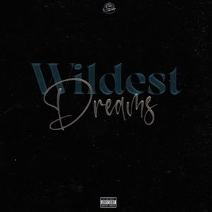 Wildest Dreams (Explicit)