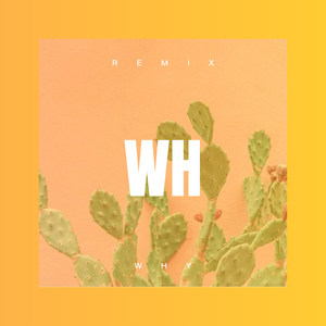Why (Remix)