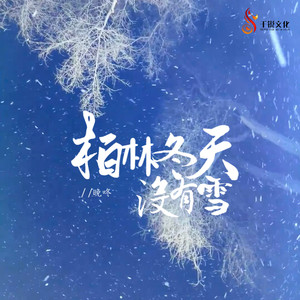 柏林冬天没有雪 (伴奏)